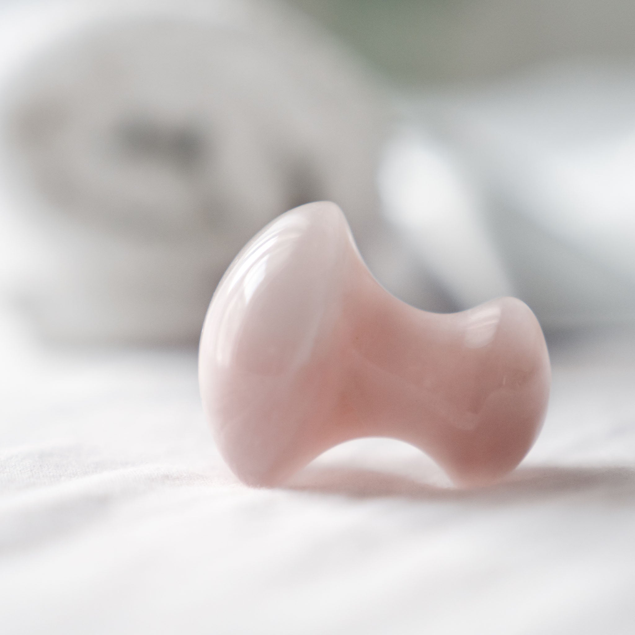 Pierre de massage Gua Sha en forme de champignon